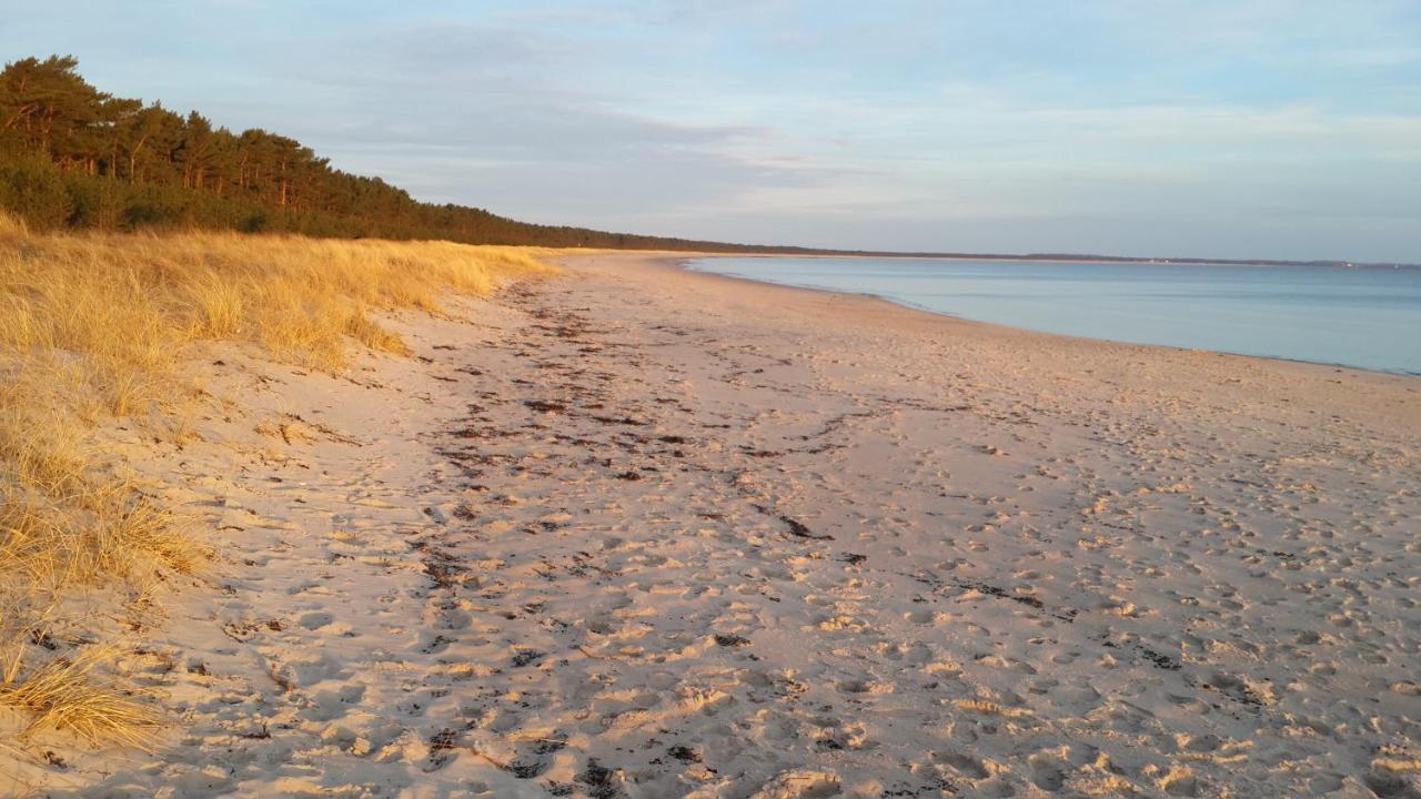 Ostseehaus Lea Doppelhaushaelfte Wiek auf Rügen Eksteriør bilde